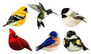 Evergreen Screen Savers-Birds