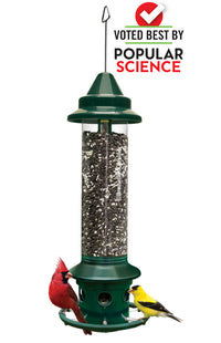 SquirrelBuster - Plus