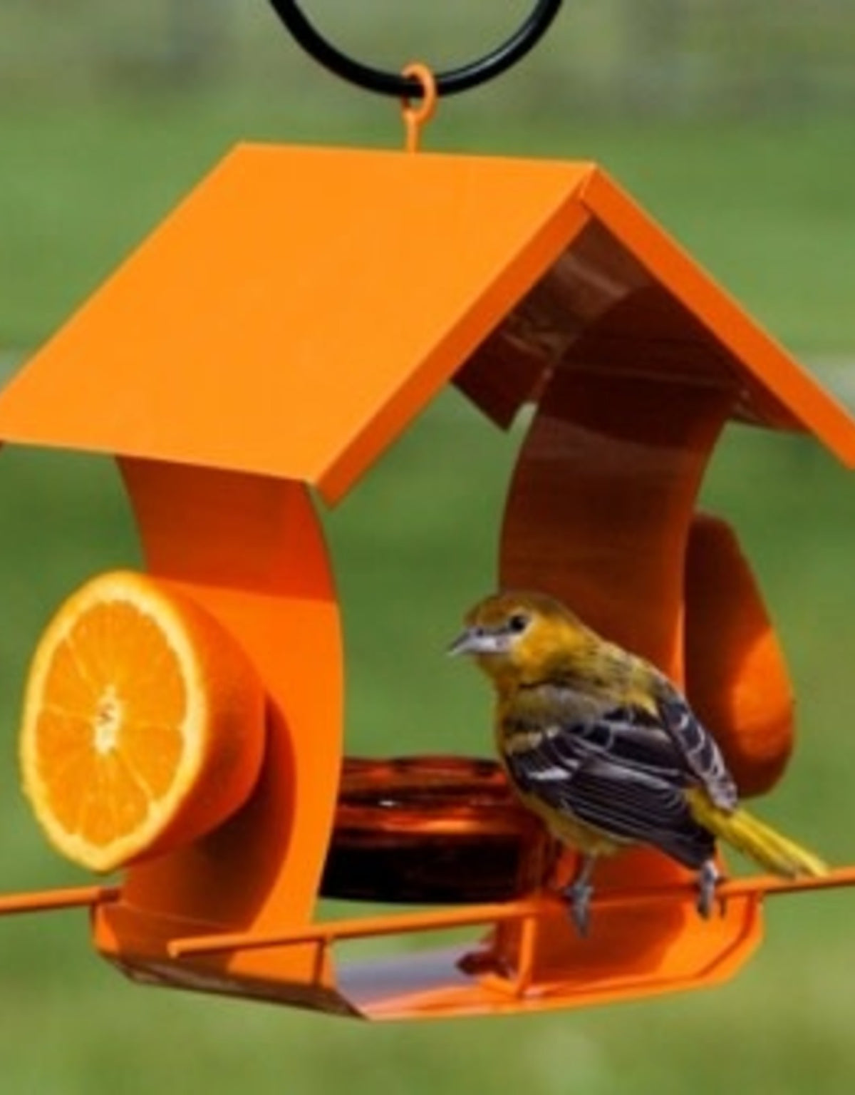Woodlink Metal Oriole Jelly Feeder