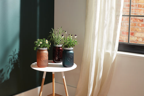 Modern Sprout