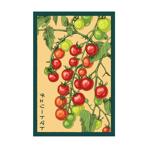 Shido Seeds