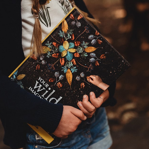 All Books