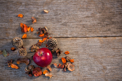 Autumn Collection