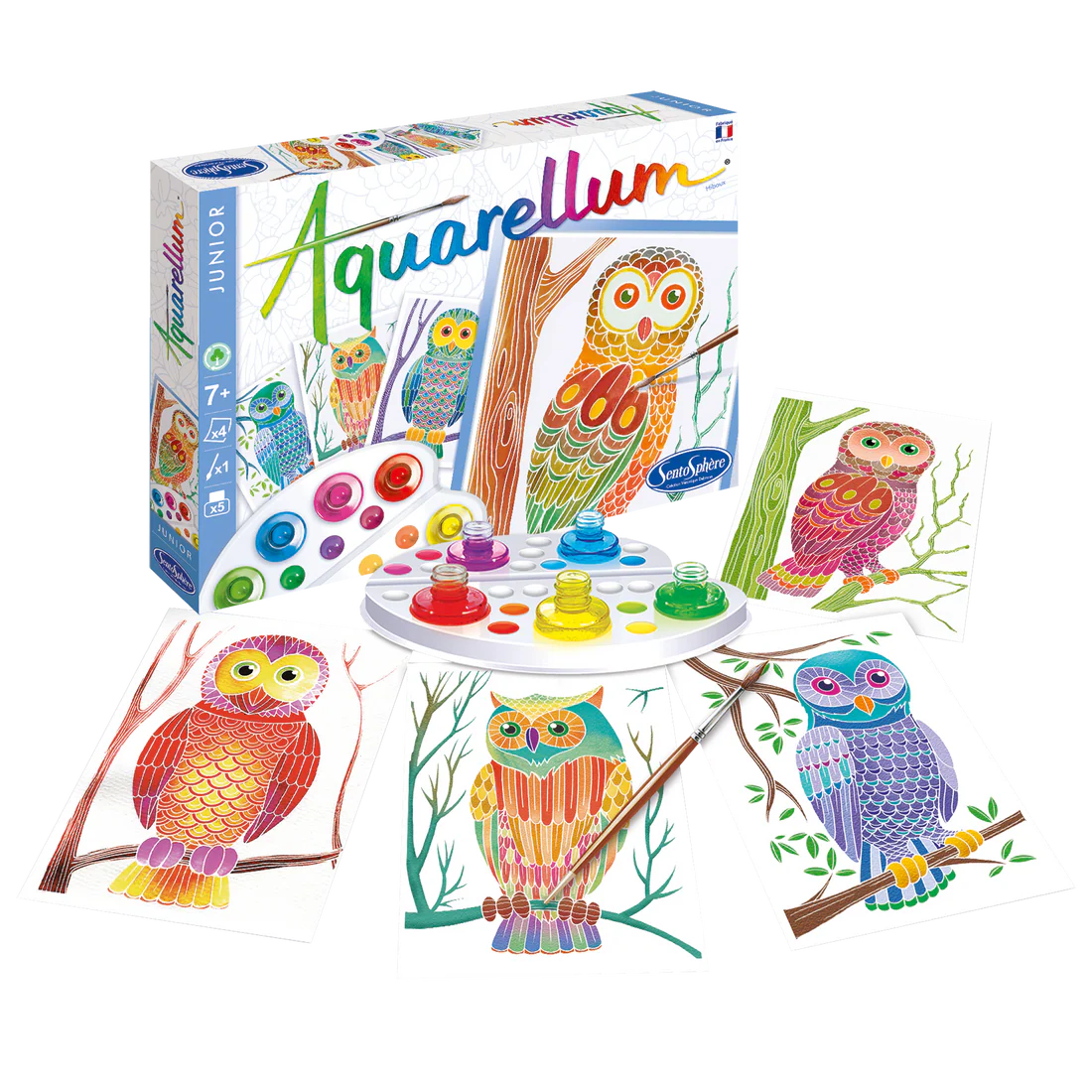Owl Painting Kit