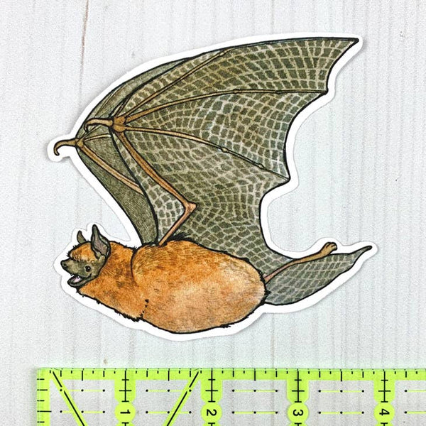 Little Brown Bat Vinyl Sticker