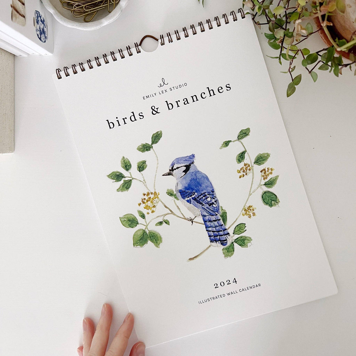 emily lex studio - 2024 birds & branches wall calendar