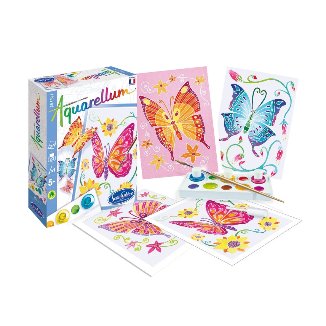 Mini Butterfly Painting Kit