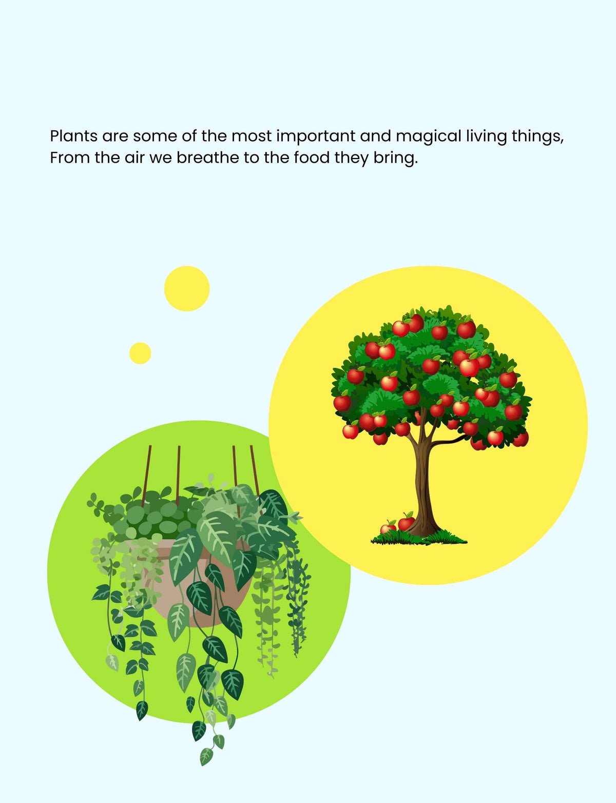 Doodle Paw Press - Hello Plants- Educational Colouring Book.