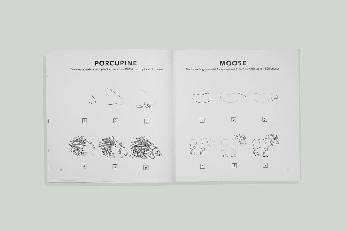 Paige Tate & Co. - Mushrooms & Woodland Creatures: Kids How to Draw Book