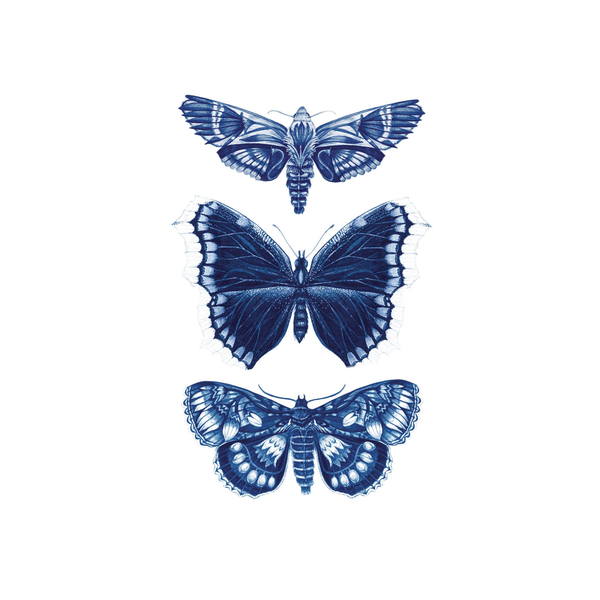 Tattly Moths Tattoo - Thumbnail 3