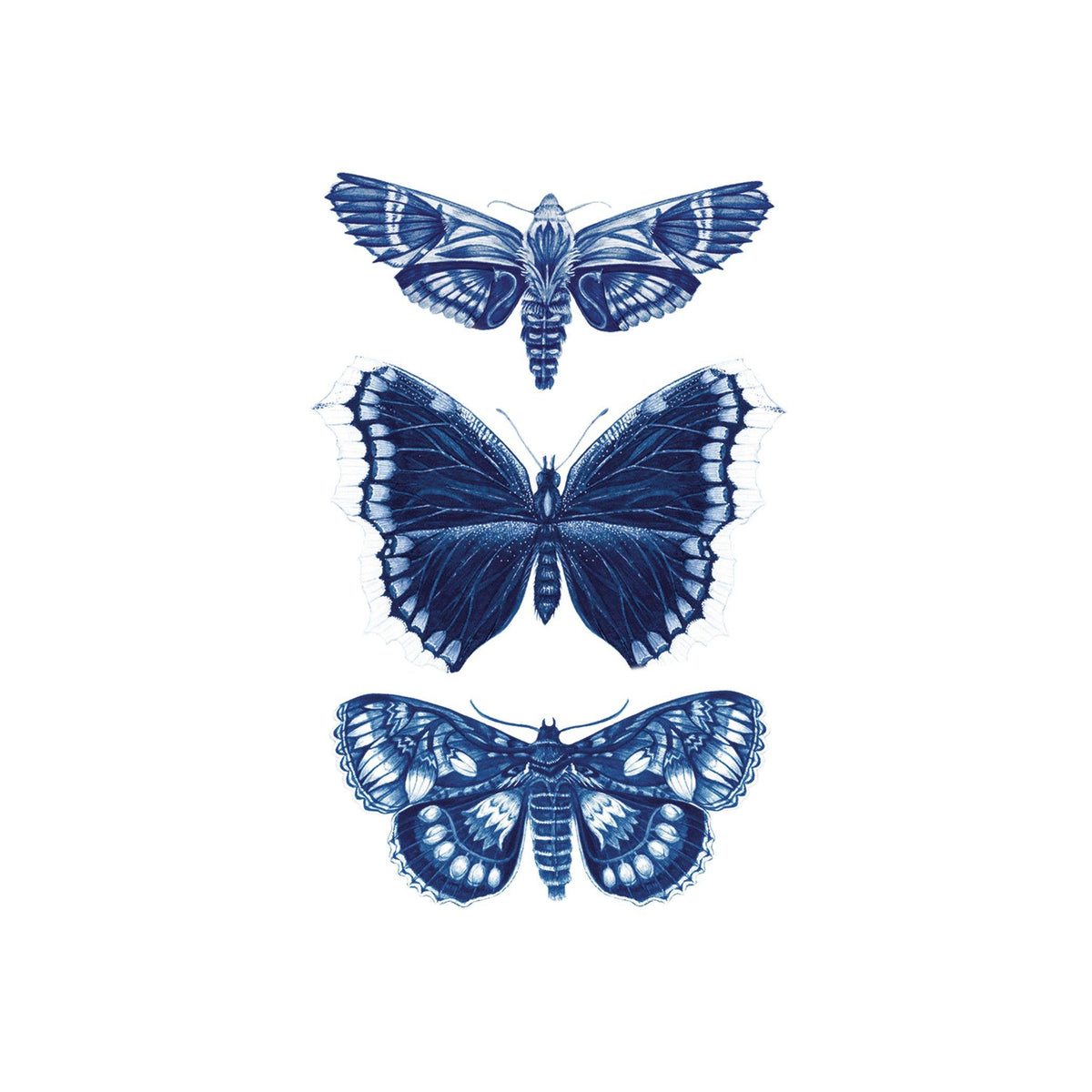 Tattly - Sapphire Moths Tattoo Pair