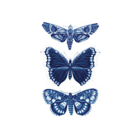 Tattly - Sapphire Moths Tattoo Pair