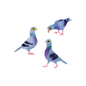 Tattly - Pigeon Pals Tattoo Pair