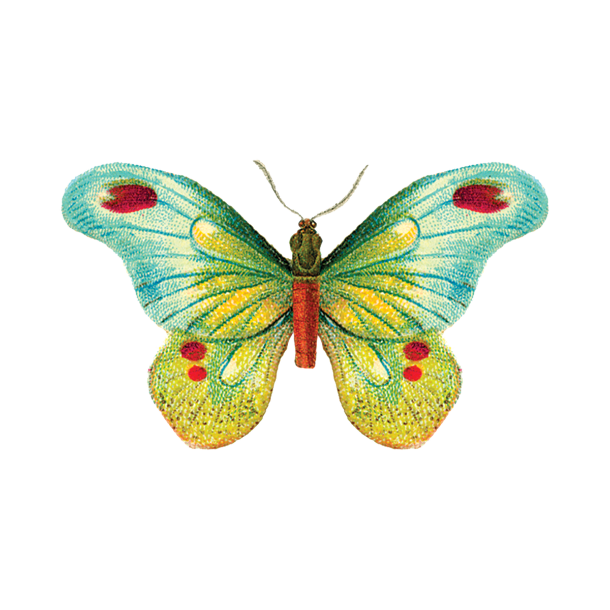 Tattly - Butterfly Tattoo Pair