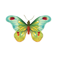 Tattly - Butterfly Tattoo Pair