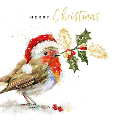 Christmas Robin Card