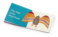 Owls and Loons: Inuit Art from Cape Dorset Board Book