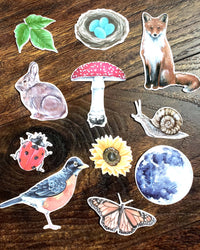 Stephanie Hathaway Designs - Backyard Nature Sticker Pack, Set of 11 Stickers