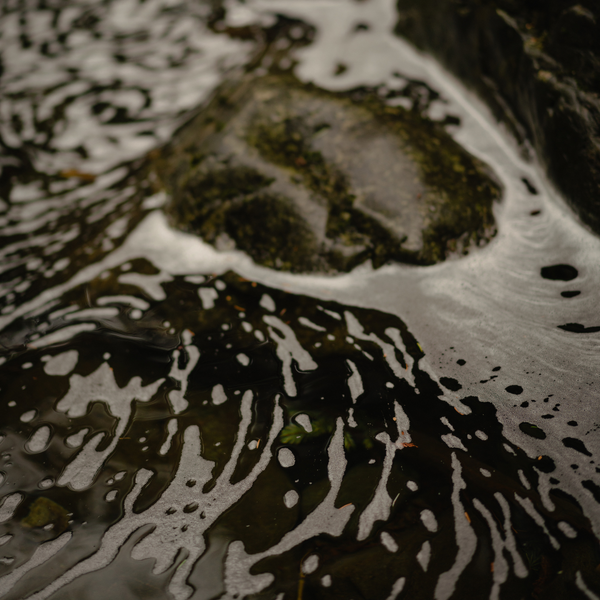 Hollow Tree Candle Co - Shannon Falls Candle - 9oz Ceramic Jar