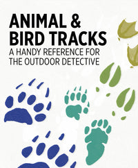 Animal & Bird Tracks: A Handy Reference for the Outdoor Detective Knowledge Cards