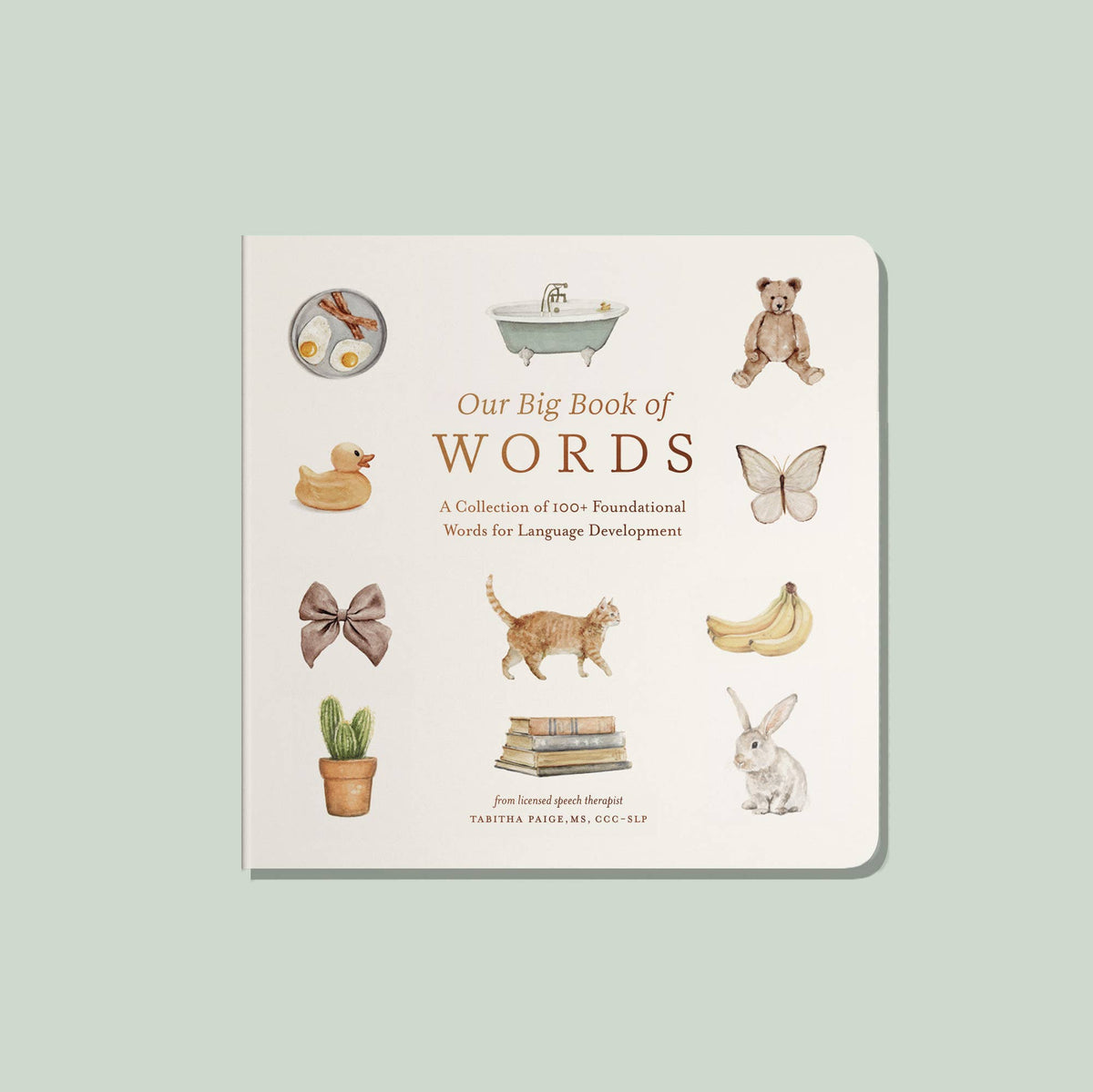 Paige Tate & Co. - Our Big Book of First Words (Baby Board Book)