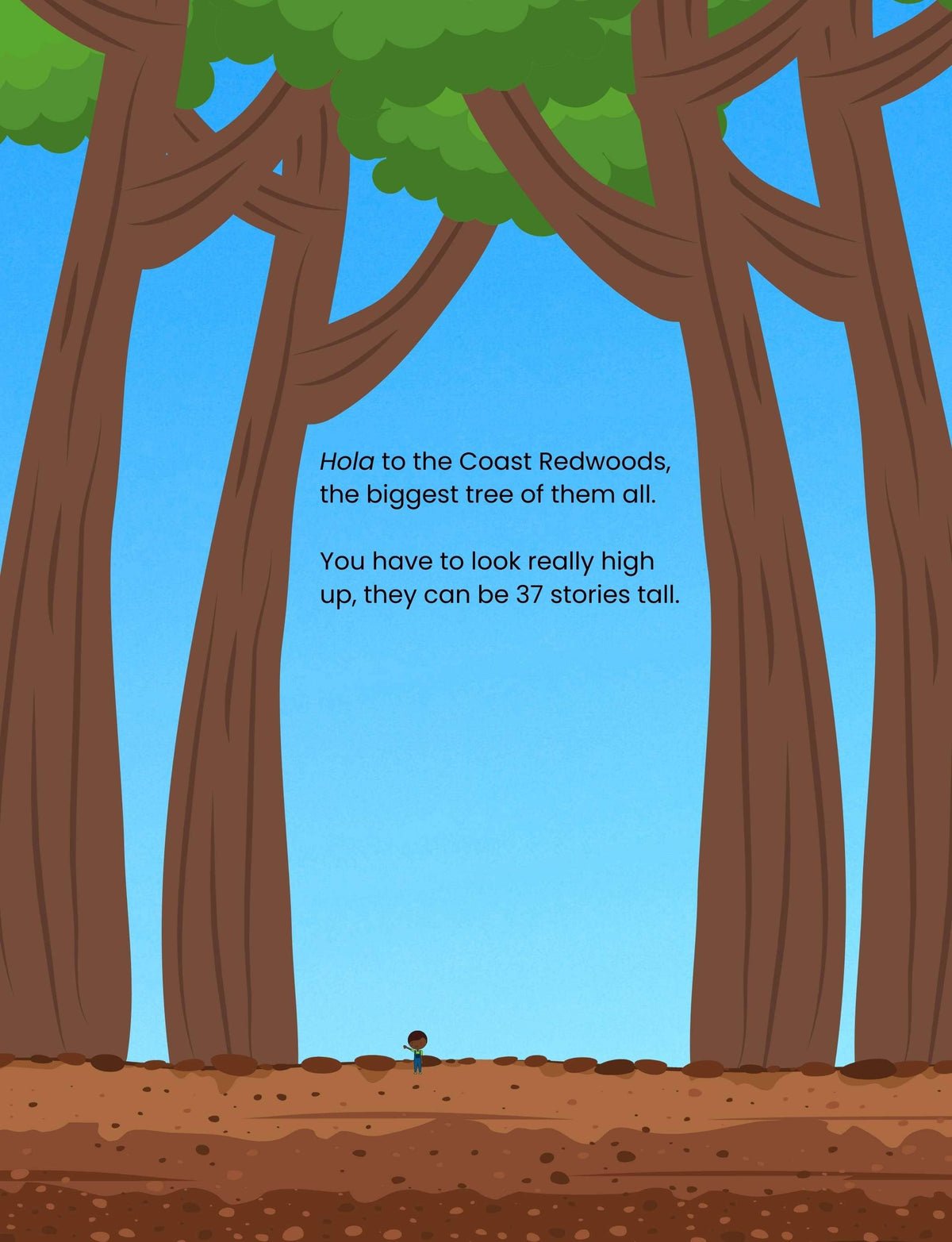 Doodle Paw Press - Hello Plants- Educational Colouring Book.