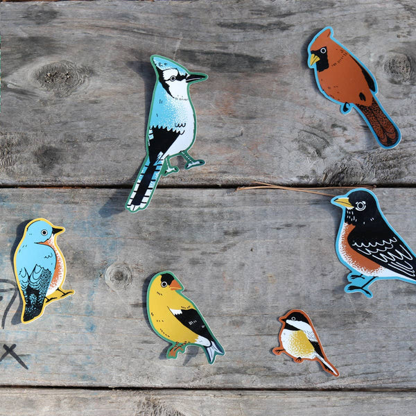 Backyard Birds Jumbo Sticker Pack