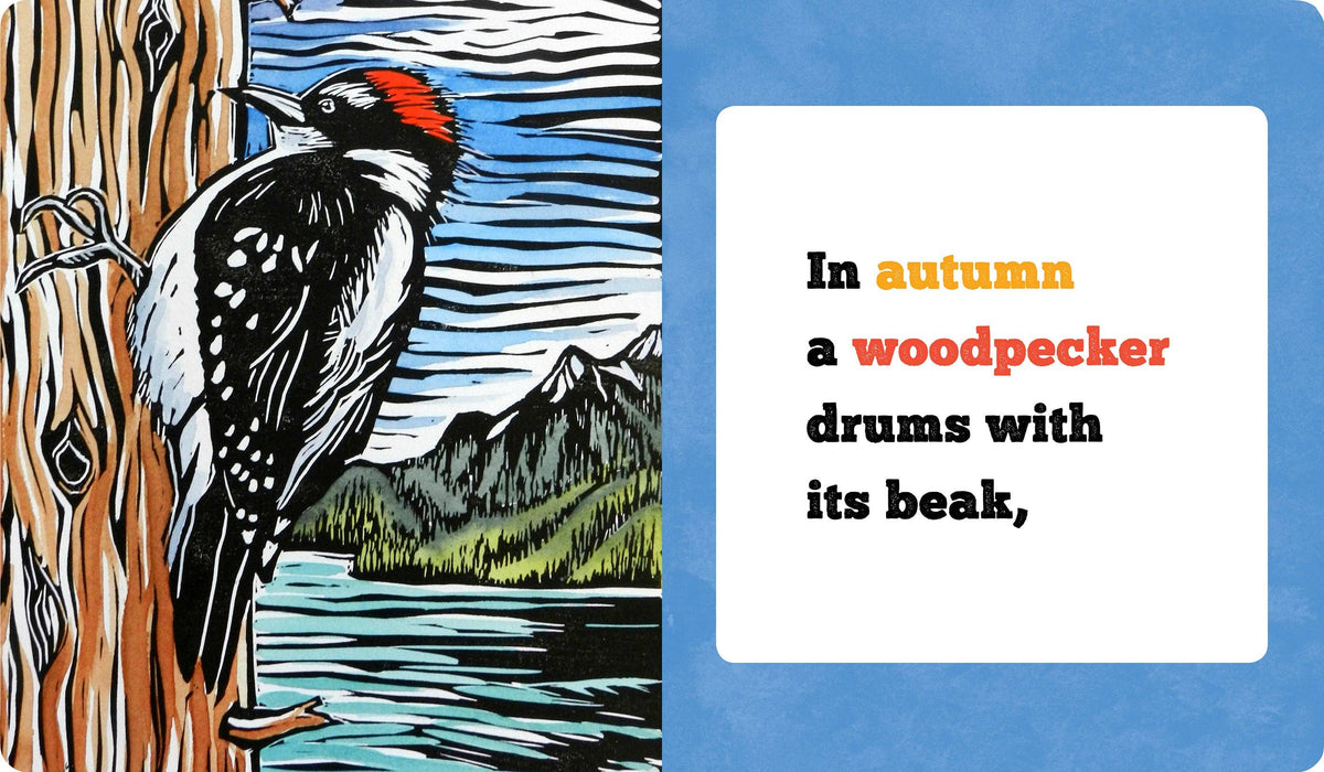 Molly Hashimoto’s Birds! Season by Season Board Book