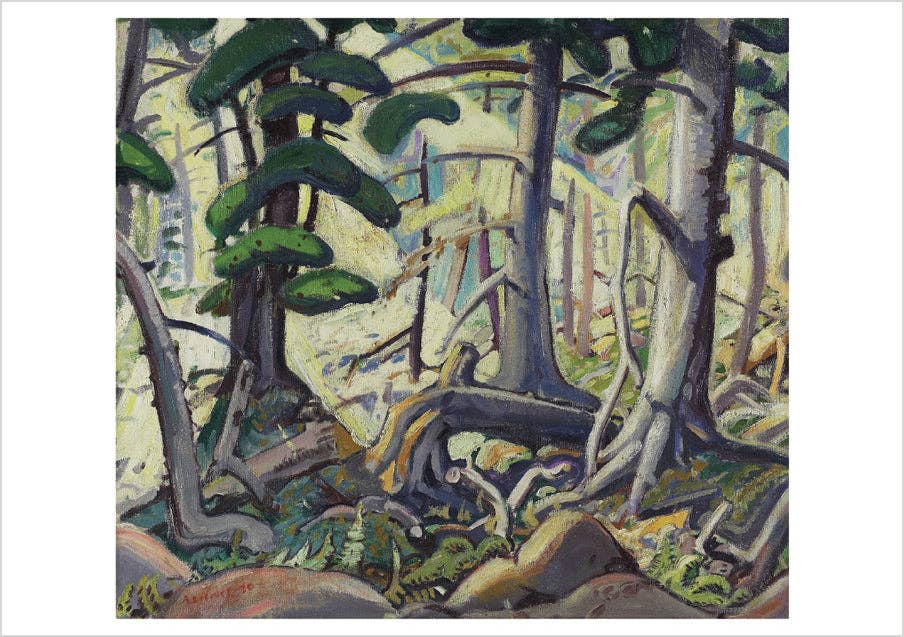 Arthur Lismer: Sunlight in a Wood Birthday Card
