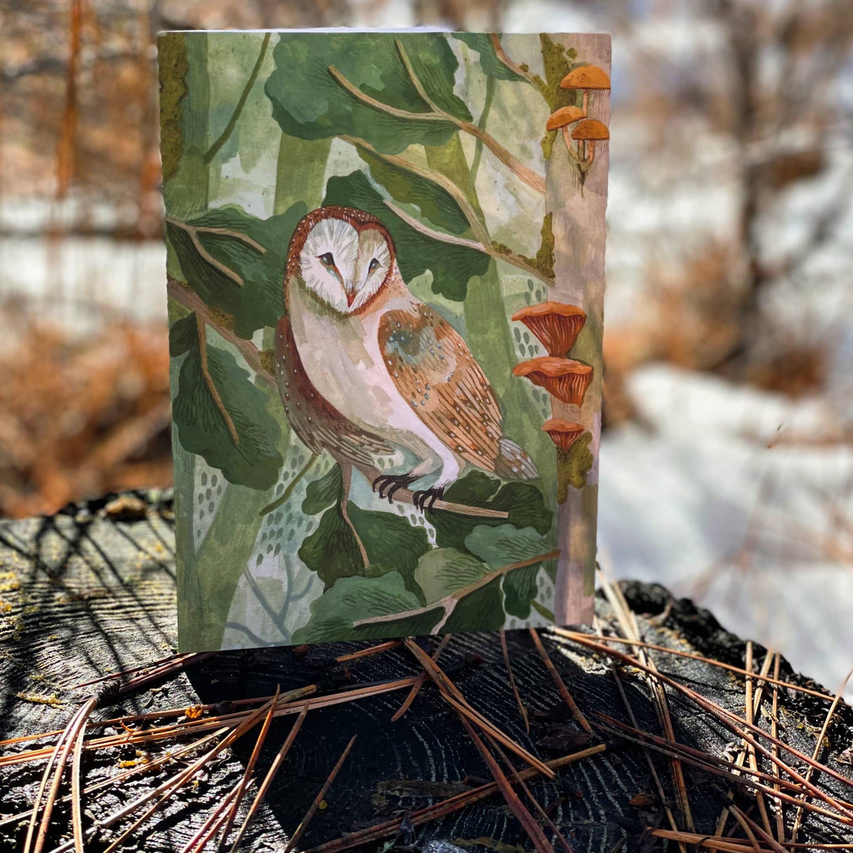 Canyon & Cove Art - Forest Barn Owl Card