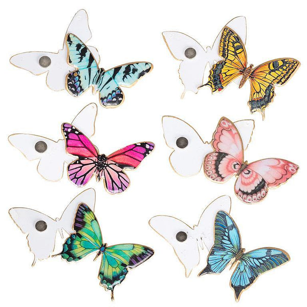 Butterfly Screen Magnets