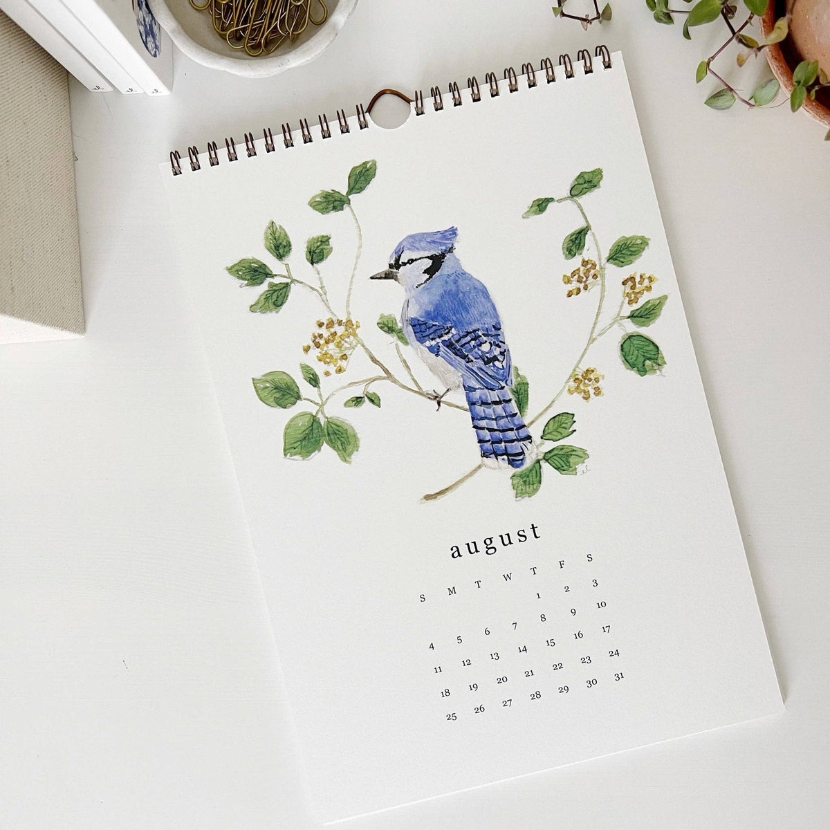 emily lex studio - 2024 birds & branches wall calendar