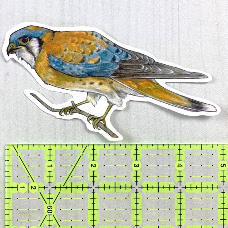 American Kestrel Vinyl Sticker