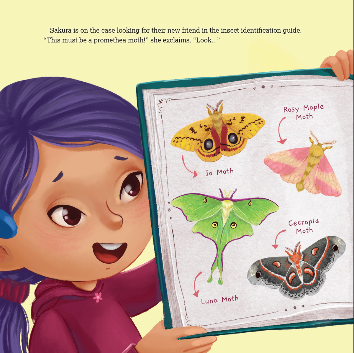 Moonflower Press - Moth Metamorphosis: A Bug Club Story - Hardcover