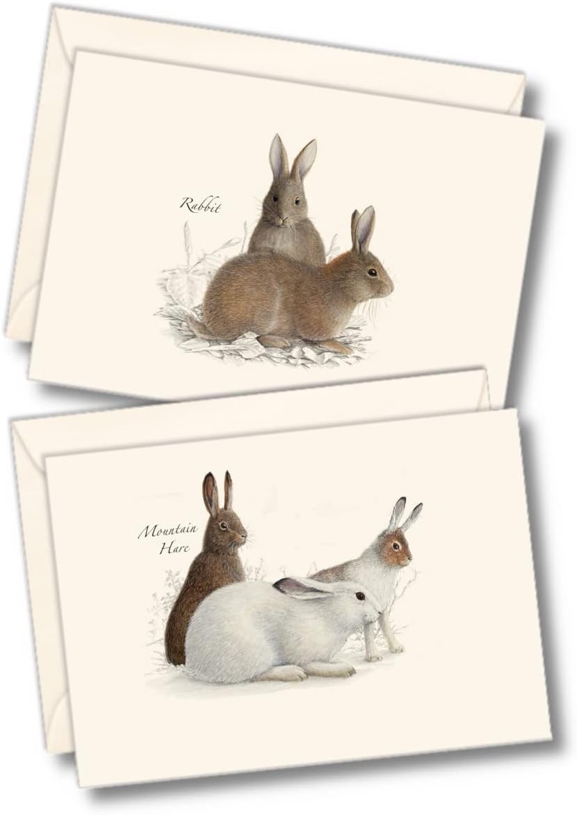 Rabbit & Hare Assortment Boxed Notecards