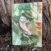 Canyon & Cove Art - Forest Barn Owl Card