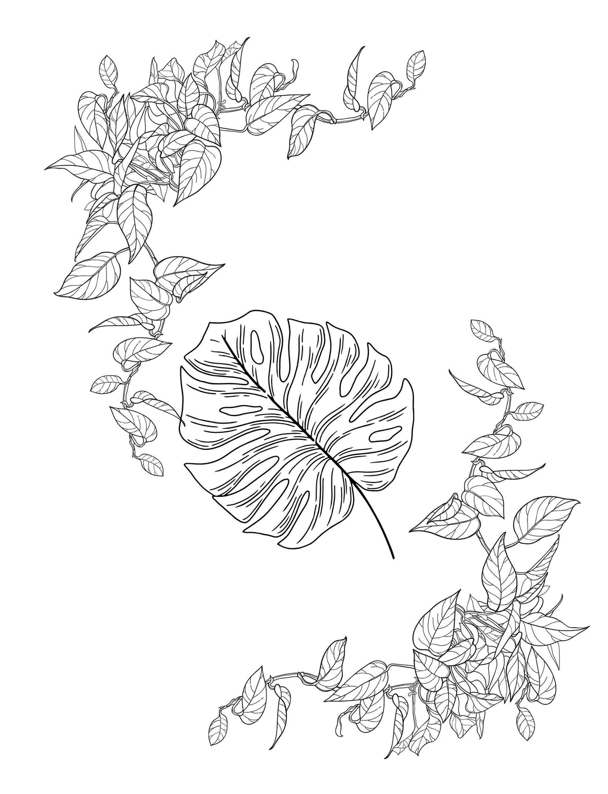 Doodle Paw Press - Hello Plants- Educational Colouring Book.