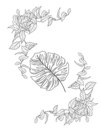 Doodle Paw Press - Hello Plants- Educational Colouring Book.