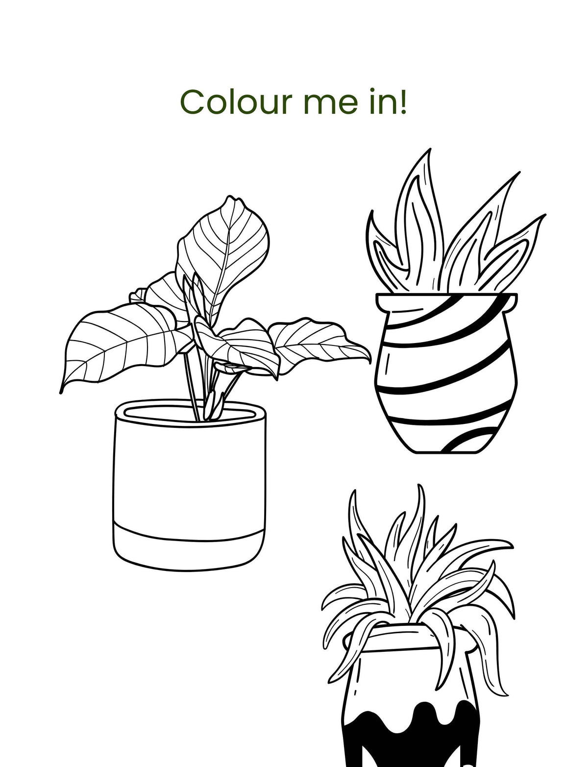 Doodle Paw Press - Hello Plants- Educational Colouring Book.