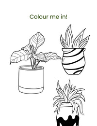 Doodle Paw Press - Hello Plants- Educational Colouring Book.