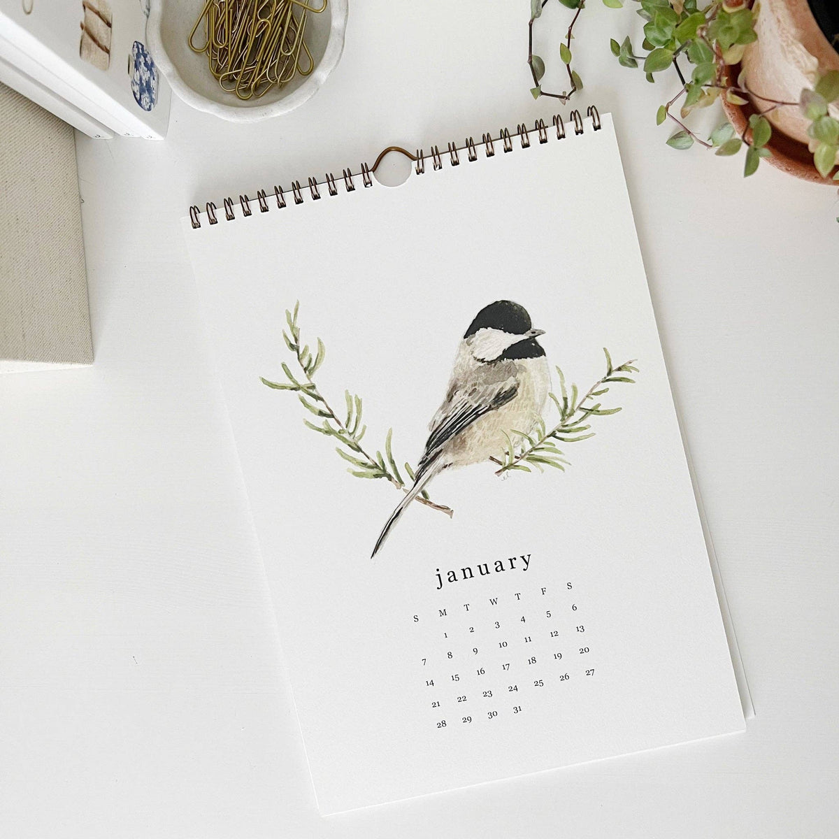 emily lex studio - 2024 birds & branches wall calendar