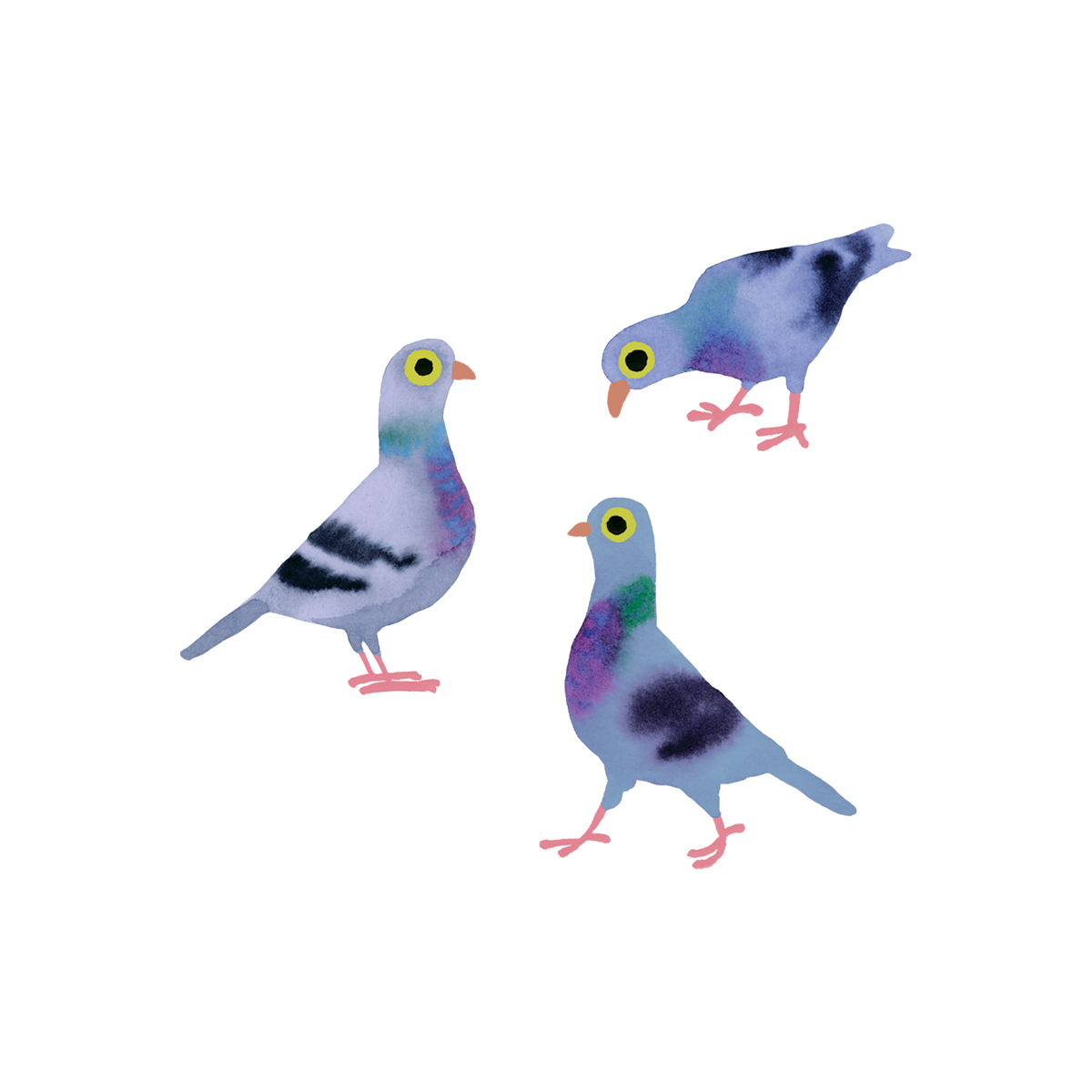Tattly - Pigeon Pals Tattoo Pair