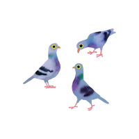 Tattly - Pigeon Pals Tattoo Pair