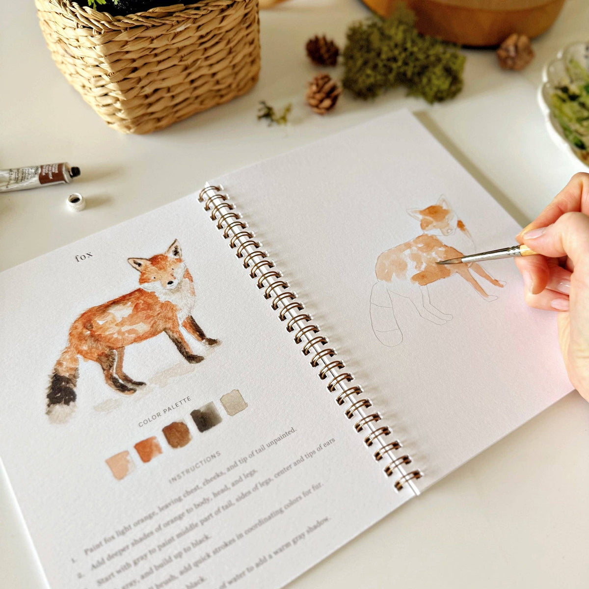emily lex studio - Woodland watercolor workbook