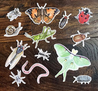 Stephanie Hathaway Designs - Minibeast Sticker Pack, Set of 13 Matte Vinyl Stickers