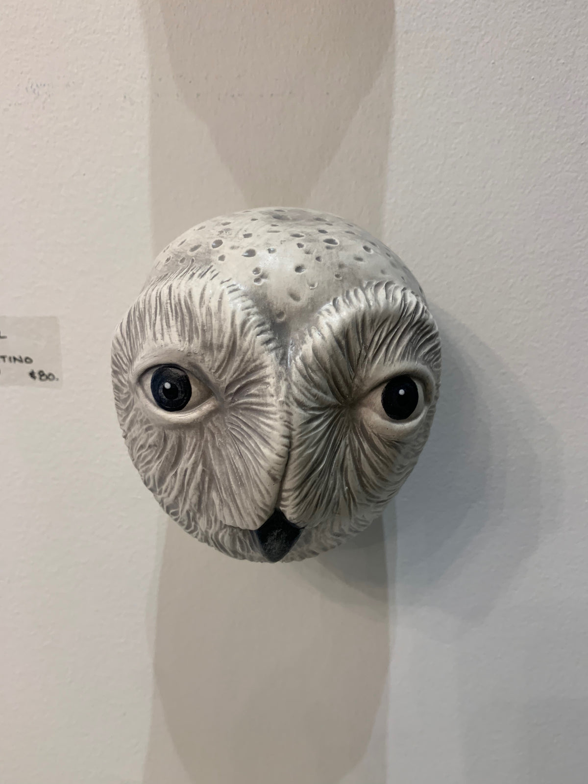 Ceramic Earthenware Owl Head Wall Hanging