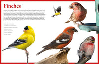 Backyard Birds of North America