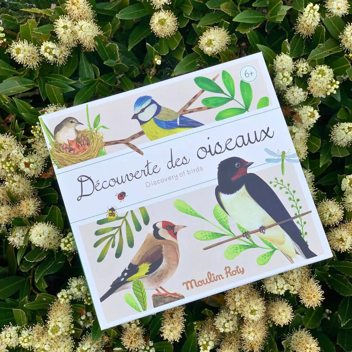 Moulin Roty Bird Discovery Box - Decrouverte des oiseaux