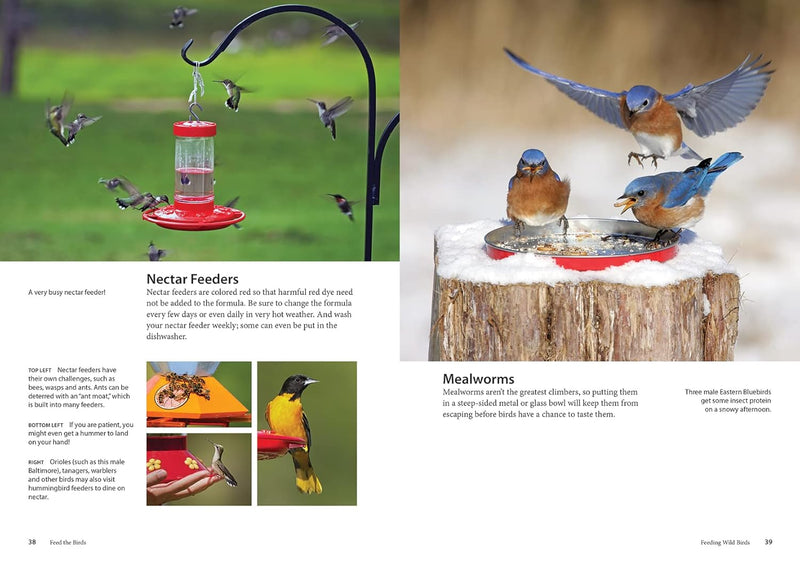 Feed the Birds: Attract & Identify 196 Common North American Birds by Chris Earley
