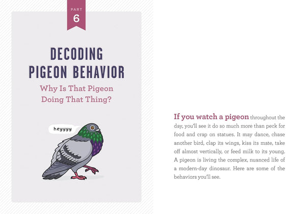 A Pocket Guide to Pigeon Watching